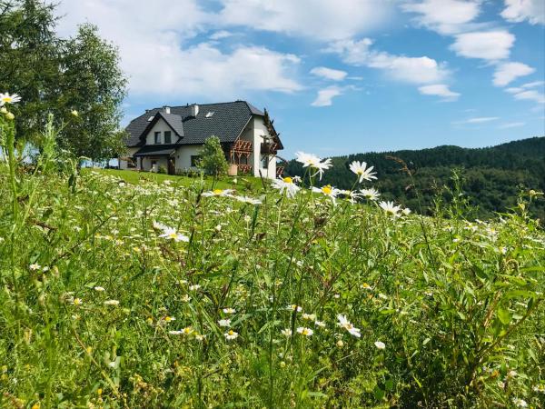 Na fotografii je vidět objekt Wilcza Chata nacházející se ve městě Polańczyk.