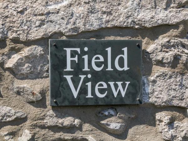 Zdjęcie 4: Field View