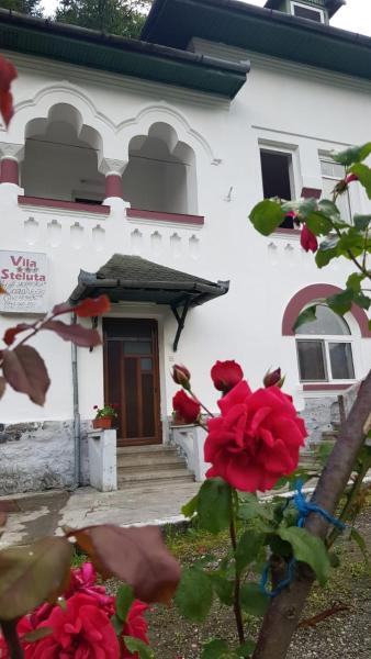 På billedet ses objektet Vila Ana Lăcrămioara Concept beliggende i byen Căciulata.