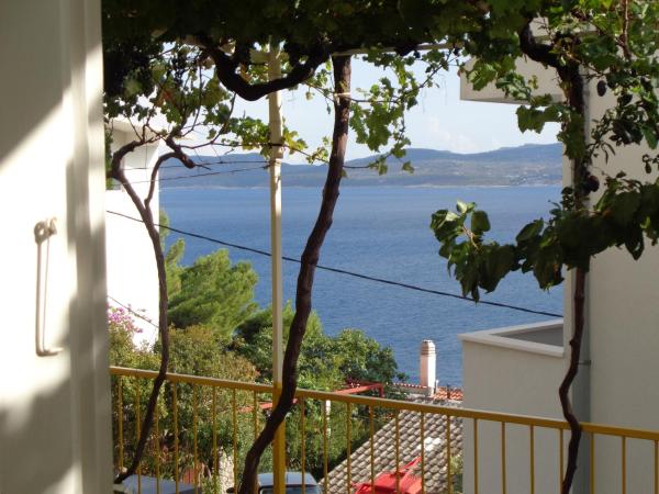 Apartman Zoran Marusic - Mimice