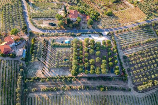 写真にはチェルタルド市にあるAGRiCAMPiNG POGGiO Ai PiNi WiNE CAMPiNGが写っています。