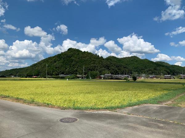 Billede 6: 民泊はのこの庭