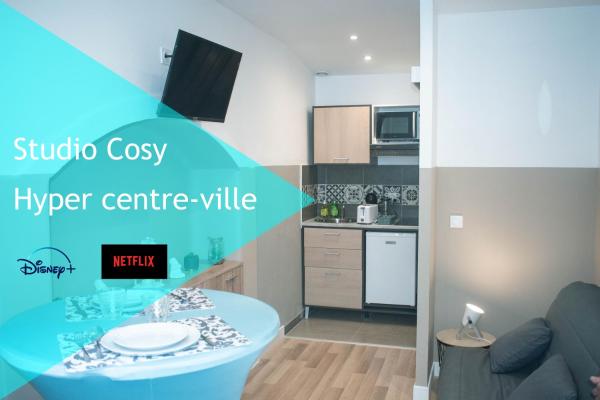På billedet ses objektet Les studios de l'hyper centre ville beliggende i byen Pau.