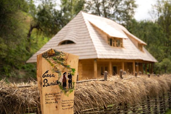 A la foto es mostra l'objecte Casa Bunicilor Apuseni situat a la ciutat de Geogel.