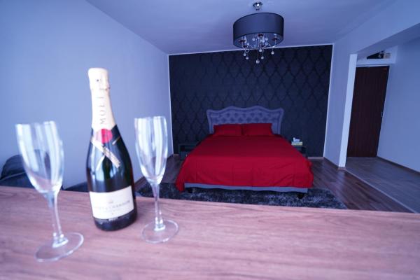 Na zdjęciu widoczny jest obiekt Luxury 1BR studio near Hanul Drumetului Bucharest położony w mieście Bukareszt.