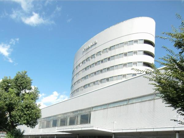 A la foto es mostra l'objecte Ueno Frex Hotel situat a la ciutat de Nagano.
