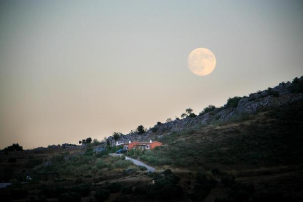 Cortijo Nuevo Alojamiento Rural - Andalousie