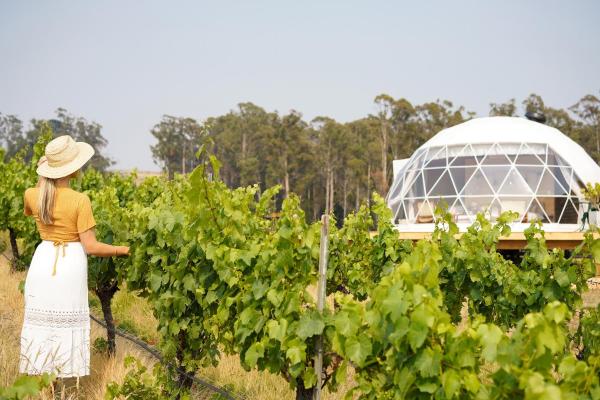 Foto 7: Domescapes in the Vines