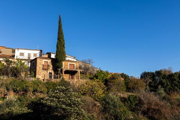 A la foto es mostra l'objecte Casa Rural El Abeto situat a la ciutat de Cadalso.
