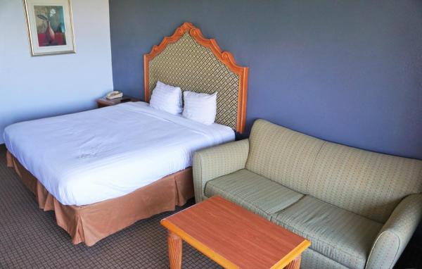 Zdjęcie 5: Hotel Elev8