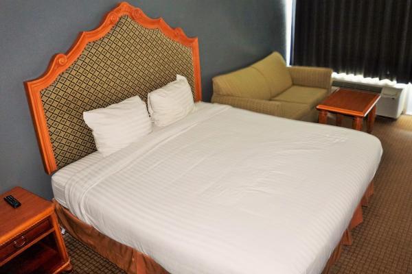Zdjęcie 4: Hotel Elev8