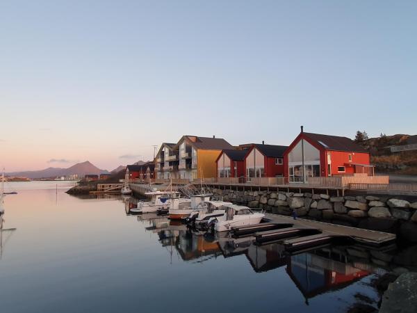 A la foto es mostra l'objecte Seafront new cabin in Lofoten situat a la ciutat de Ballstad.