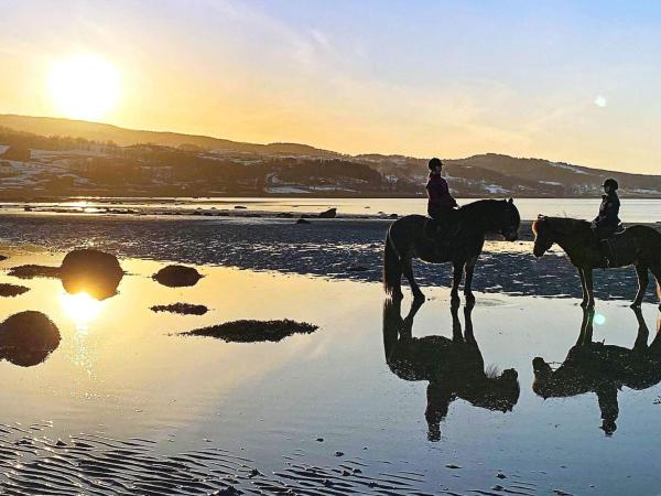 A la foto es mostra l'objecte 6 person holiday home in Hamnvik situat a la ciutat de Hamnvik.
