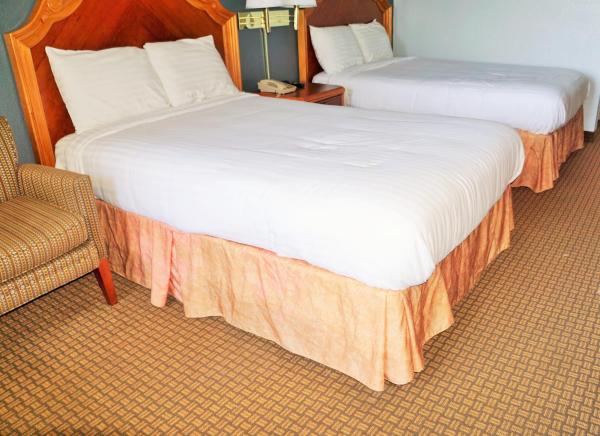Zdjęcie 9: Hotel Elev8