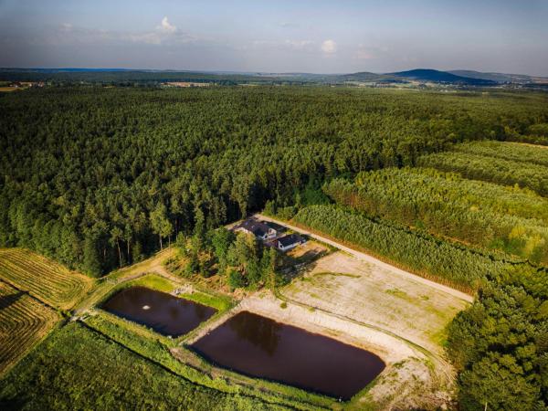 Na zdjęciu widoczny jest obiekt Leśny Dworek położony w mieście Strawczyn.
