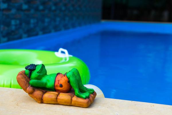Op de foto is het object Lazy Frog Guest House te zien, gelegen in de stad Cavelossim.