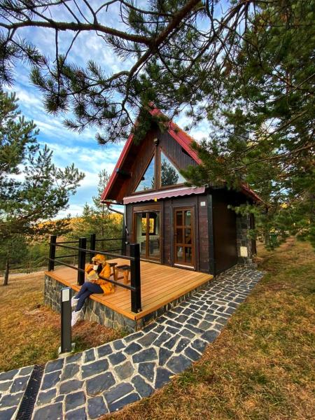 På bildet vises objektet Previja Zlatibor Chalet som ligger i byen Ljubiš.