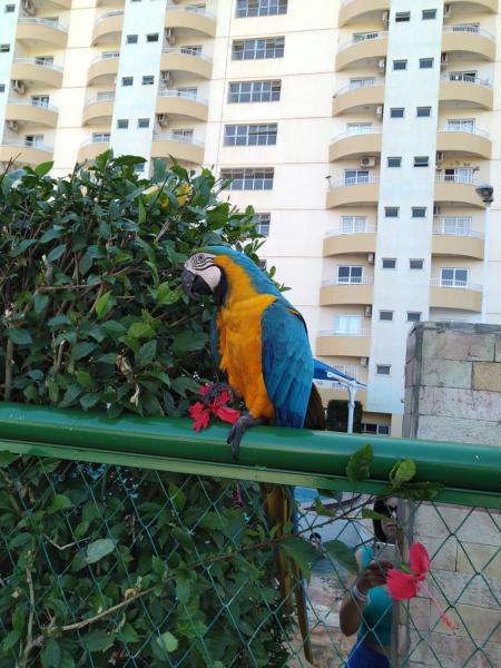 Fotografie 6: 504 - AP shopping, bebidas liberadas no parque aquático, sacada gormet e internet banda larga no AP, Wi-Fi, próximo ao shopping Singapura
