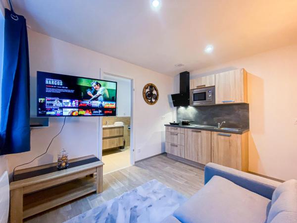 A la foto es mostra l'objecte Appartement Le Majestudio situat a la ciutat de Morteau.