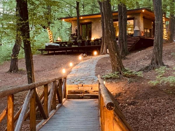 Luxury Lake House & Glamping - Câmpina