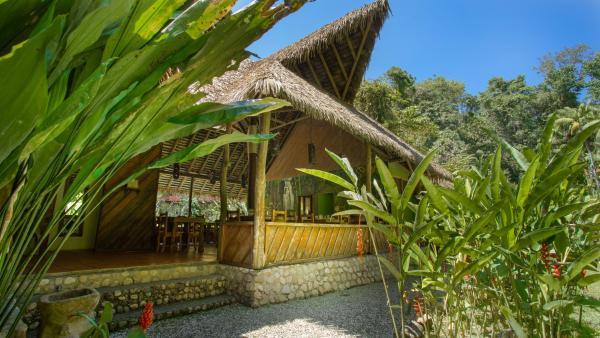 Na zdjęciu widoczny jest obiekt Esquinas Rainforest Lodge położony w mieście Piedras Blancas.