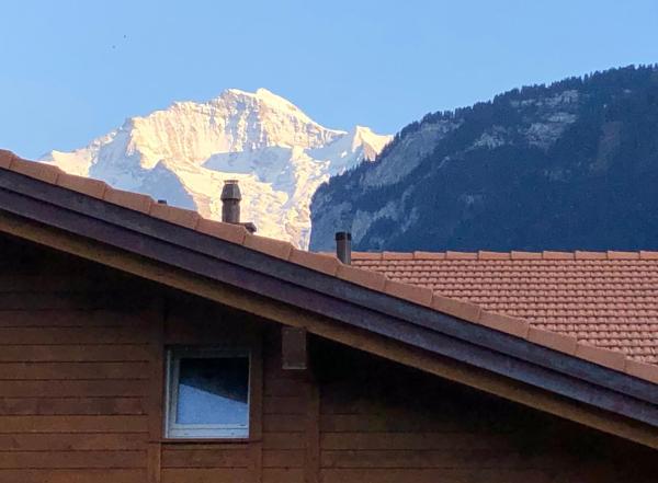 På billedet ses objektet S&P Mountain View Apartment 1 beliggende i byen Wilderswil.