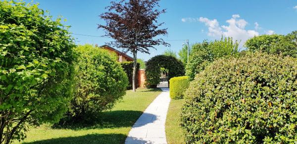 Φωτογραφία 8: Bed & Breakfast Paradiso