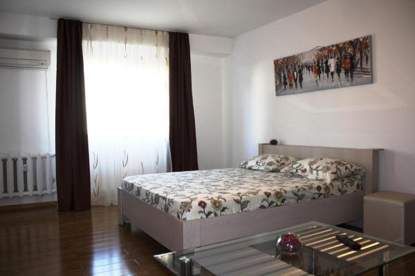 写真にはブカレスト市にあるPremium apartment, on Burebista blvが写っています。