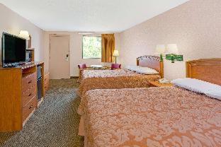 Bilde 3: Super 8 by Wyndham Laurel