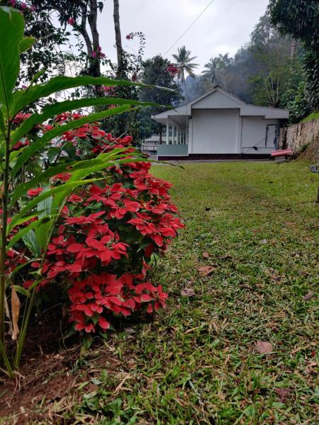 Auf dem Foto ist das Objekt M3 Homes in der Stadt Munnar zu sehen.