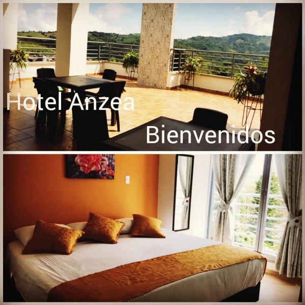 写真にはRisaralda市にあるHotel Anzeaが写っています。