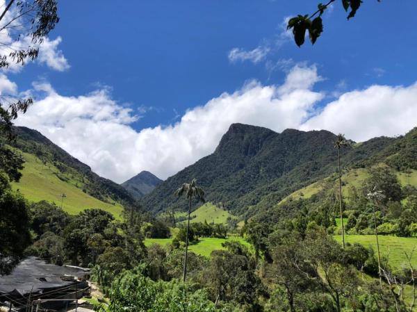 Nella foto è visibile l'oggetto Cabañas Valle del Cocora La Truchera situato nella città di Salento.
