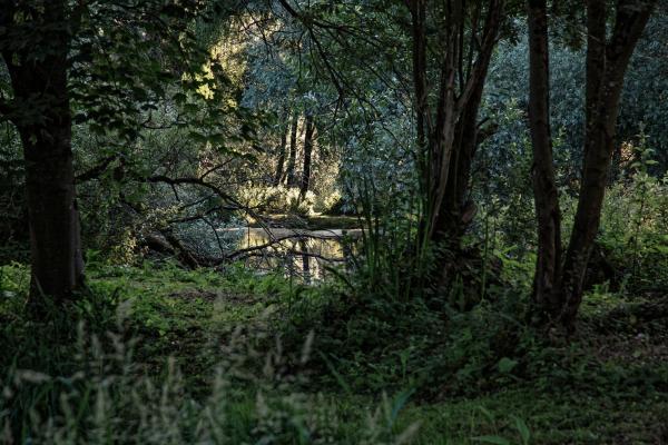 På billedet ses objektet Les Cabanes Des Marais beliggende i byen Attin.