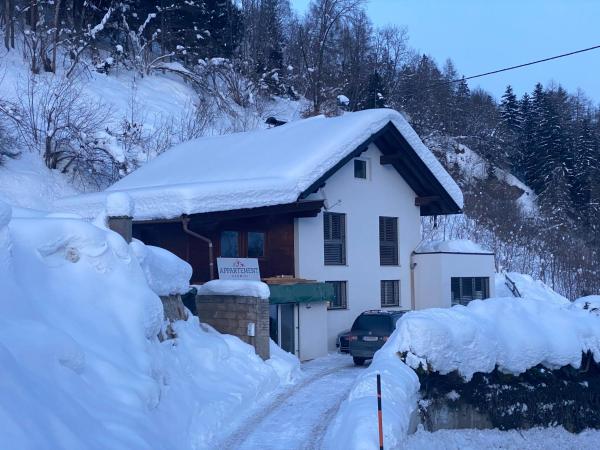 Nella foto è visibile l'oggetto Appartement Schmidl situato nella città di Flattach.