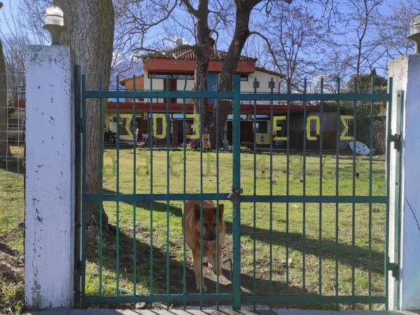 Billede 2: Summit Zero Hostel