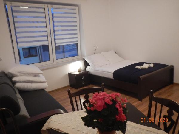 Apartament Providentia Zakopane Witkiewicza 3, Zakopane
