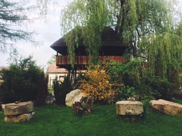 Na fotografii je vidět objekt Casa Ott nacházející se ve městě Prisaca Dornei.
