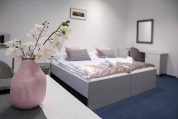 På bildet vises objektet CLASSIC apartmány Třinec som ligger i byen Český Těšín.