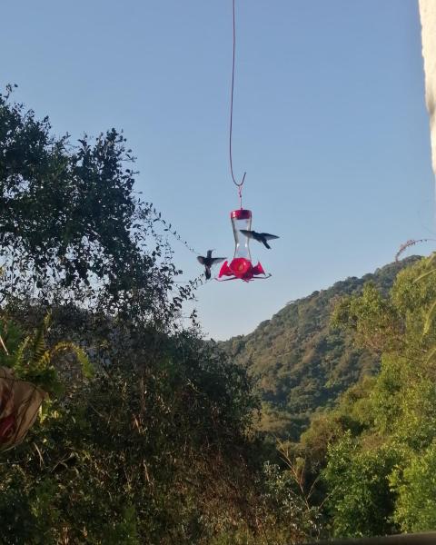 A la foto es mostra l'objecte Casa chill out situat a la ciutat de Minca.