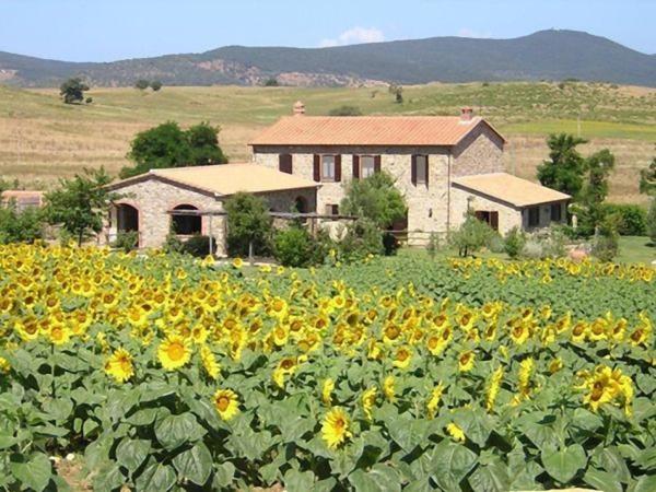 Nella foto è visibile l'oggetto Affitti Brevi Toscana - Ospitalità in Toscana situato nella città di Fonteblanda.