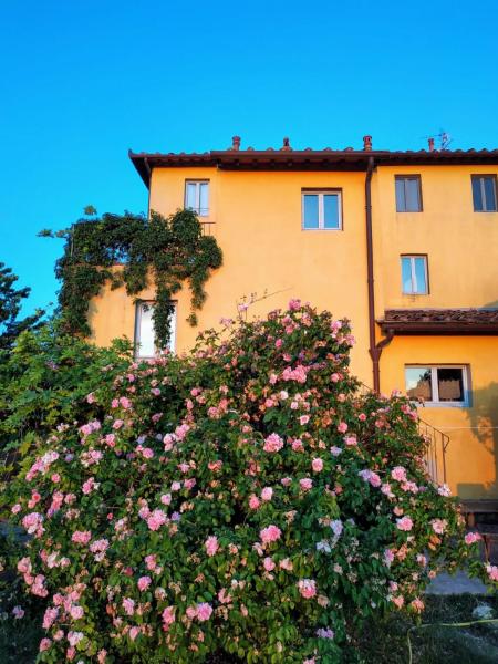 Foto 5: Poderi in Chianti