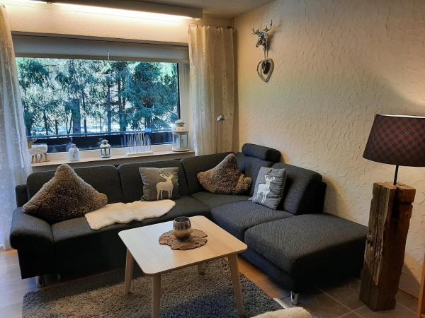 Auf dem Foto ist das Objekt Apartment am Bikepark mit Kamin und Sauna in der Stadt Winterberg zu sehen.