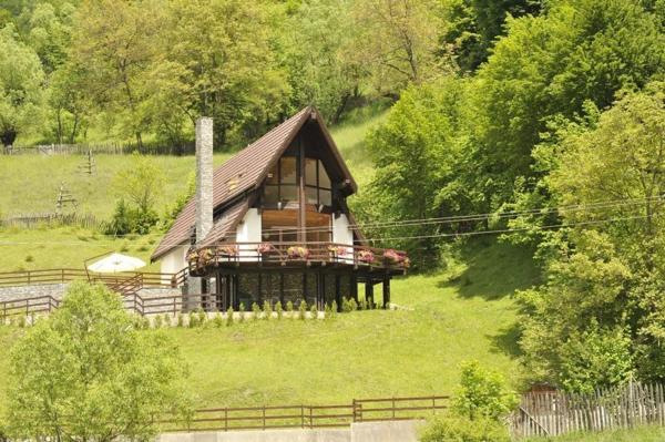 Na fotografii je vidět objekt Vila Negras nacházející se ve městě Trăisteni.