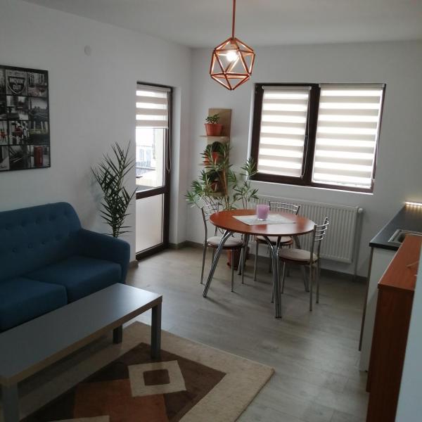 The photo shows the Villa 38 Silviu Apartment located in the city of Lupeasca.