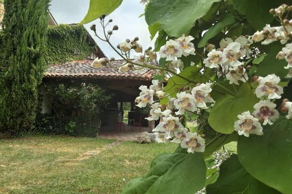 Na fotografii je vidět objekt Maison de charme confortable au cœur de la nature nacházející se ve městě Les Mignots.