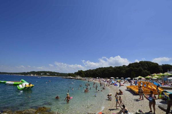 Foto 3: Studio in Pula - Istrien 38219