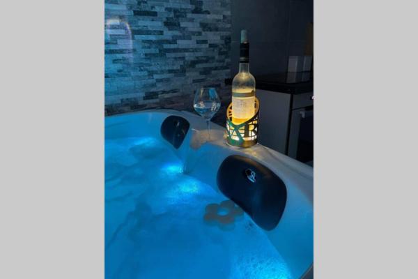 Joli T2, jacuzzi, lit rond, jardin, parking privé, métro, Тулуза