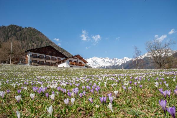 Hotel Ultnerhof - Ulten