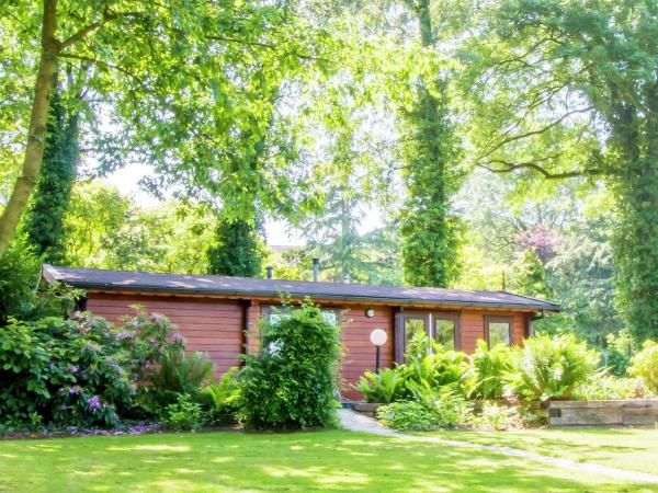 Fotografie 6: Chalet in Overijssel with Spacious Terrace