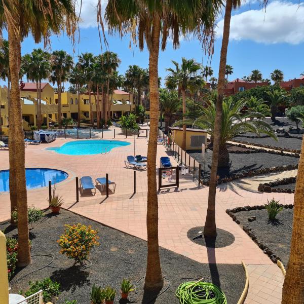 Oasis Royal F320 - Corralejo